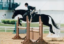 show jumping 7.jpg