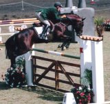 show jumping 9.jpg