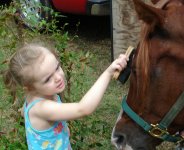 children & horse4.jpg