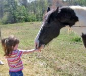children & horse 22.jpg