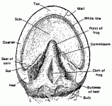 Figure 1.gif