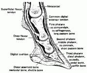 Figure 2.gif