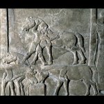 Stone panel from an Assyrian palace.jpg