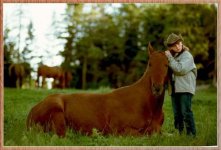 children & horse 30.jpg