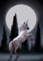unicorn.jpg