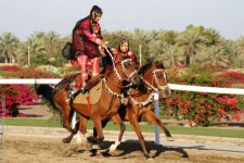 Royal-Cavalry-festival-The-first-Omani-girl-to-perform-this-difficult-feat.jpg
