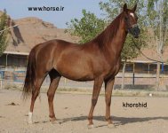 khorshid1[1].jpg