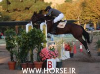 iran-horse-championship1.jpg