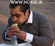 iran-horse-championship3.jpg