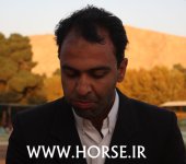 iran-horse-championship6.jpg