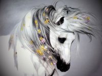 fantasy_horse04867.jpg