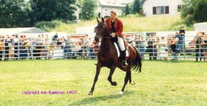 Akhal-Teke-Sugluxhorse99.jpg