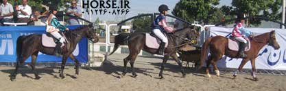 iran caspian horse show farmanara (5).jpg