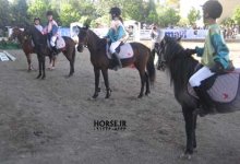 iran caspian horse show farmanara (6).jpg