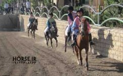 iran caspian horse show farmanara (8).jpg