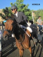 iran caspian horse show farmanara (1).jpg