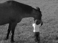 horse-kid-1.jpg