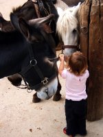 child-horses.jpg