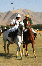 polo7.gif