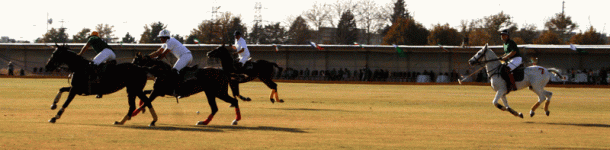 polo14.gif