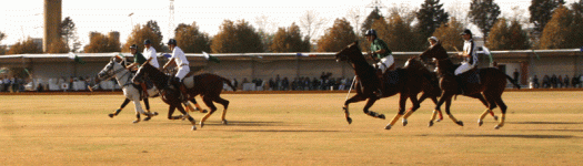 polo15.gif