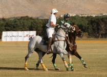 polo21.gif