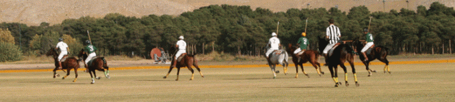 polo25.gif