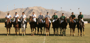 polo28.gif