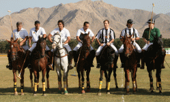 polo30.gif