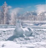 snow_horse.jpg