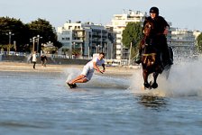horse-surfing-harold-quinquis-06.jpg