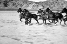 Yakima_Canutt_Stagecoach_underneath.jpg