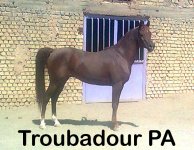 Troubadour PA 11.jpg