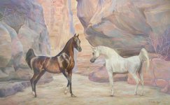 arabian-stallions-in-petra-1312644854.jpg
