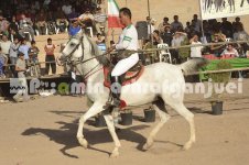 horse in iran (20).JPG