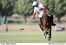 polo-daheshpour6.jpg