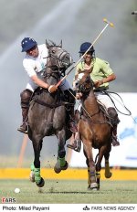 polo-daheshpour11.jpg