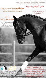 Equestrian-Clinic.jpg