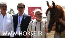 persian-horse-show44.jpg