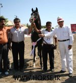 persian-horse-show22.jpg