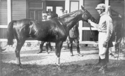 The 1912 Olympic Games winner of the golden horse award.jpg