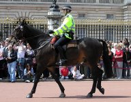 768px-Mounted.police.buckingham.palace.arp.jpg