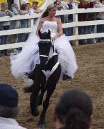 friesian04Bride.jpg