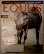 equus1.jpg