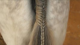 how-to-plait-a-tail.jpg